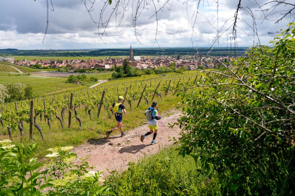 Photo du parcours Trail Alsace - Ultra-Trail des Païens 2027