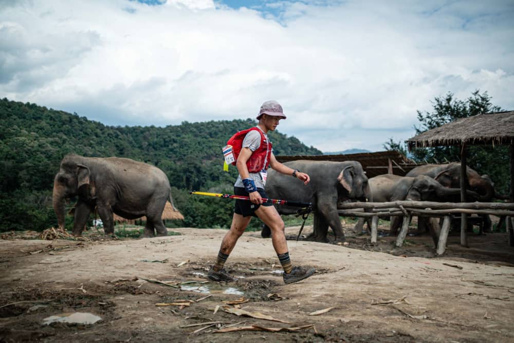 Photo du parcours Chiang Mai Thailand - ELEPHANT 100 2026