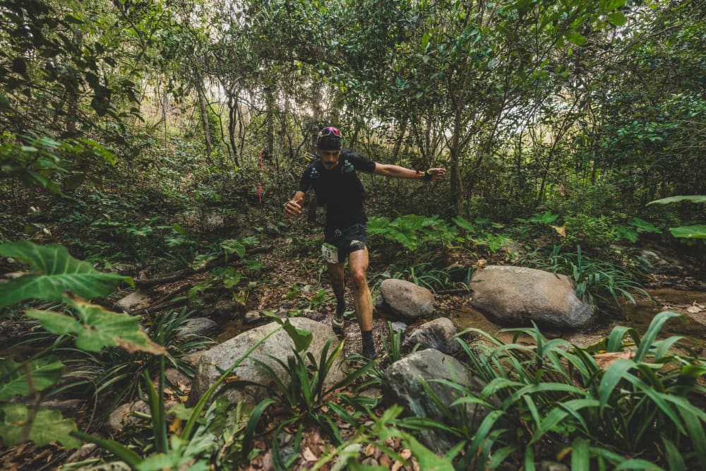 Photo du parcours Puerto Vallarta - Hikuri 81K 2027